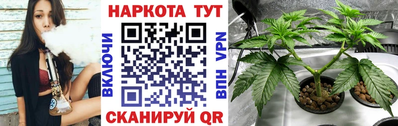 Где продают наркотики Оха ГАШИШ  A-PVP  Псилоцибиновые грибы  Меф 