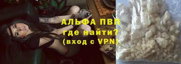 ПСИЛОЦИБИНОВЫЕ ГРИБЫ Вязьма