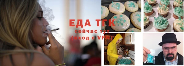 индика Волосово