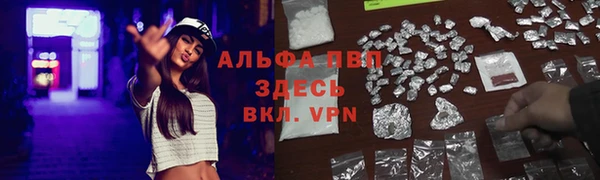 apvp Вяземский