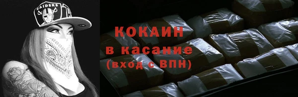 apvp Вяземский