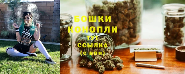 ПСИЛОЦИБИНОВЫЕ ГРИБЫ Вязьма